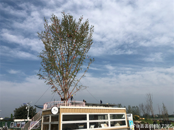【圖說淮南】&mdash;&mdash;微風拂過