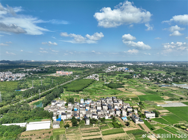 【圖說淮南】&mdash;&mdash;驕陽似火  ???