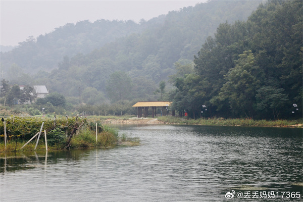 【圖說淮南】&mdash;&mdash;秋霧 